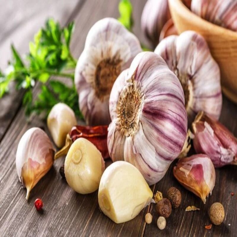 Ail - Plante médicinale pour l'herboristerie : propriétés, usages et préparations naturelles