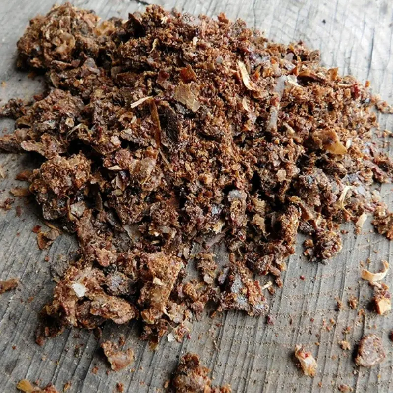 Propolis - Plante médicinale pour l'herboristerie : propriétés, usages et préparations naturelles