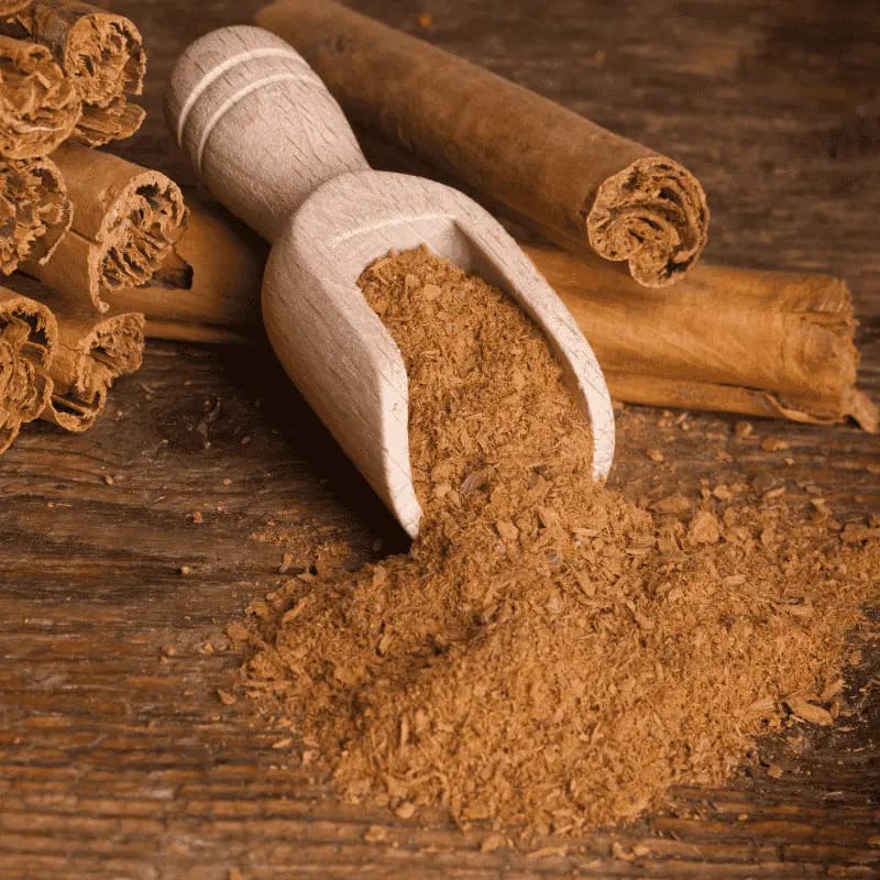 Cannelle de Ceylan - Plante médicinale pour l'herboristerie : propriétés, usages et préparations naturelles
