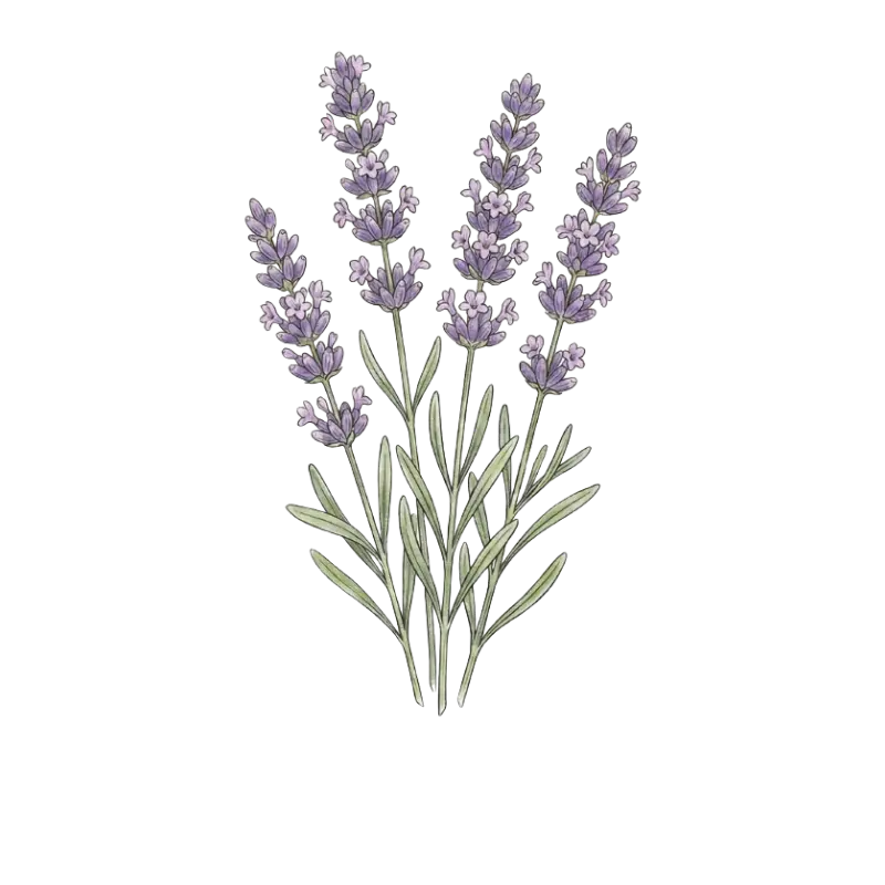 Sommeil & relaxation