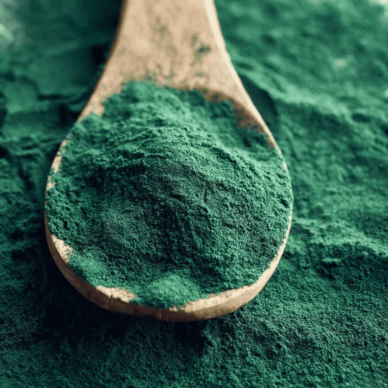 Spiruline - Plante médicinale pour l'herboristerie : propriétés, usages et préparations naturelles